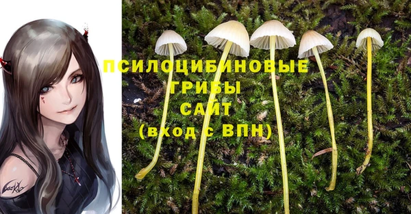 таблы Белоозёрский